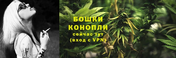 гидра Белоозёрский