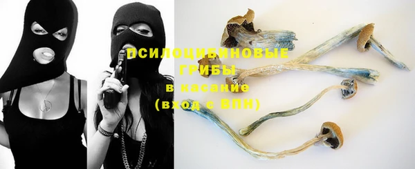 MESCALINE Богородицк