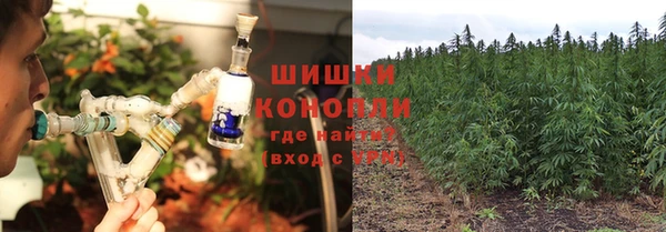 гидра Белоозёрский